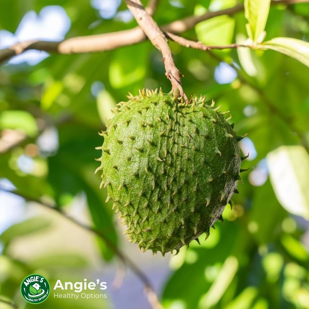 Soursop (Graviola) for Immunity: What the Science Really Says